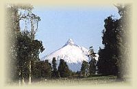 Chiile outdoors beginning in the Puerto Montt Chile area.