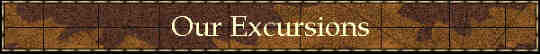 Our Excursions banner which includes tours, aventure travel, chile outdoors and more