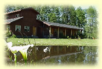 Landhaus farm stays in Pucon, Chile
