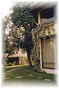 Hotel Manquehue of Santiago Chile out side view